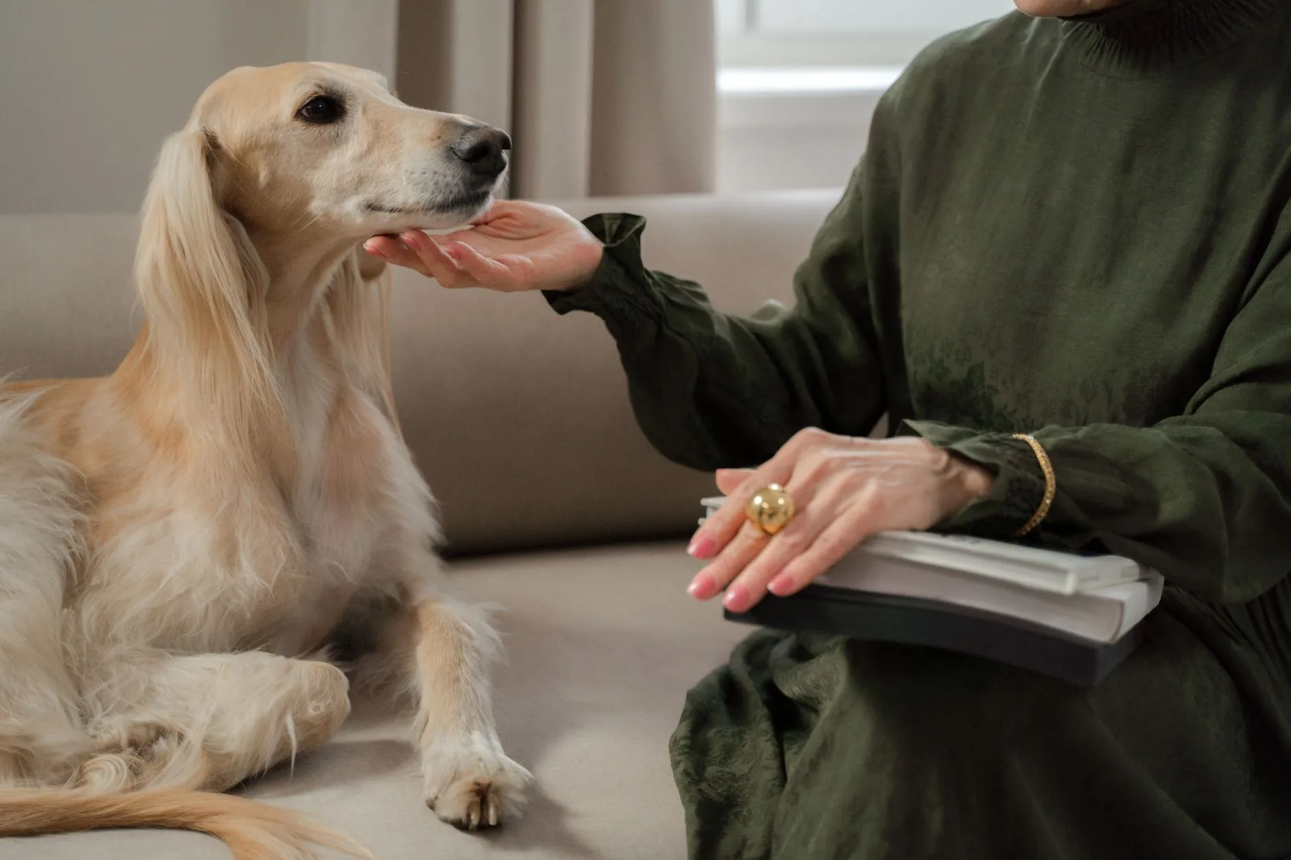 Over Dierenpsycholoog Experten Nederland