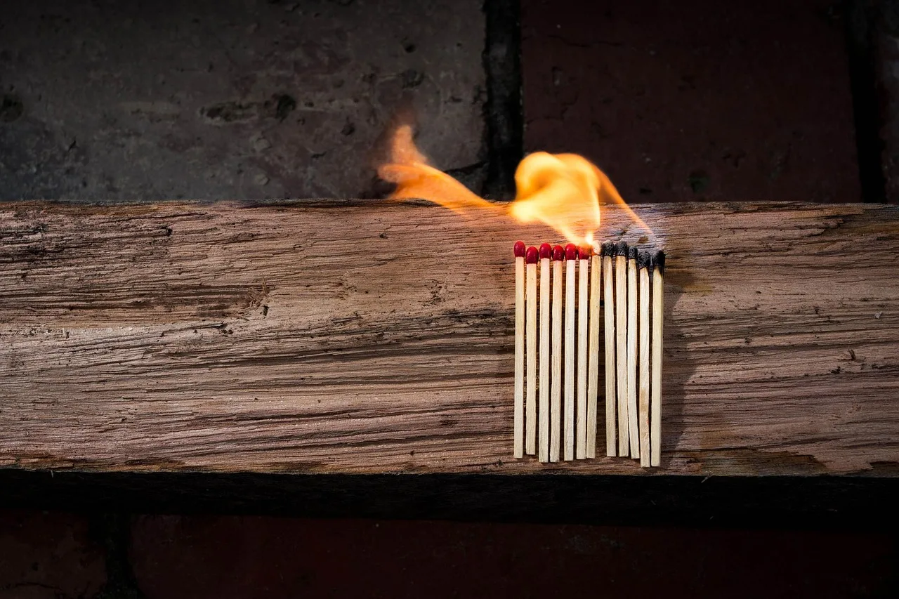 Alpha flame bv diensten