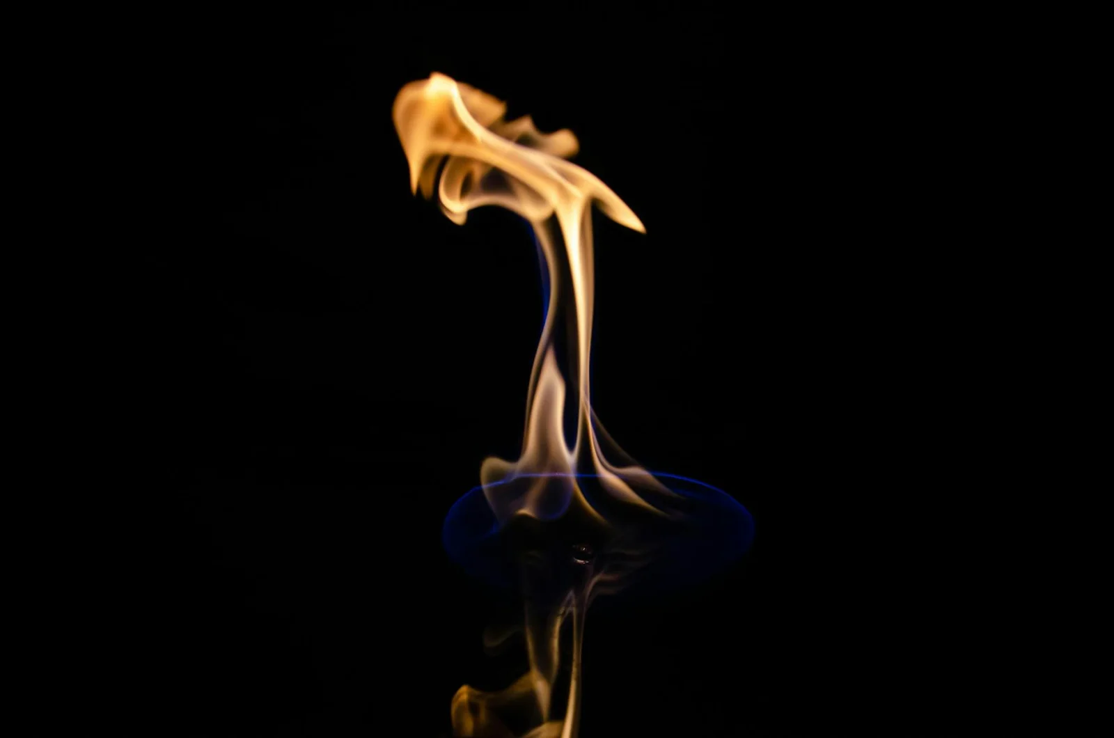 Portfolio 2 px 