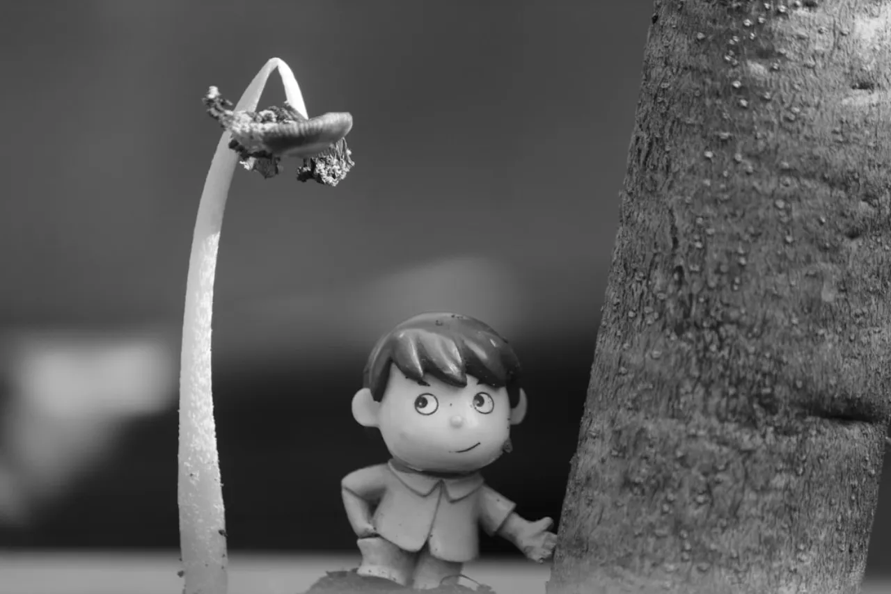Stop Motion Animatie