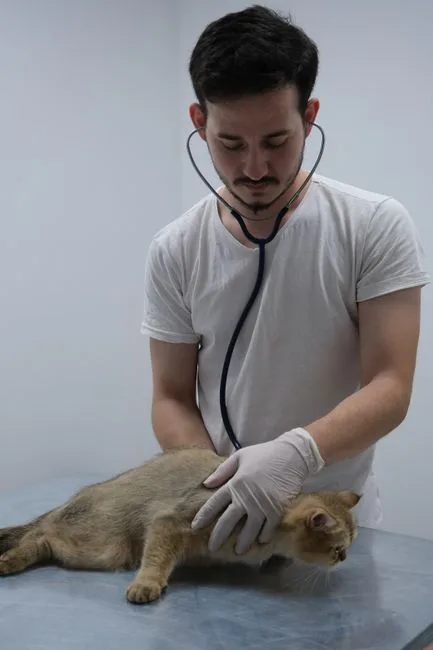 Dierenartspraktijk dienst 1