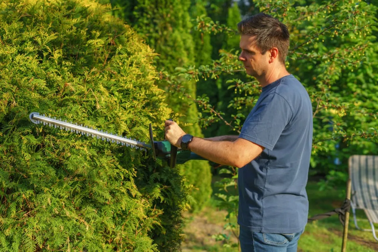 Knippen en Scheren