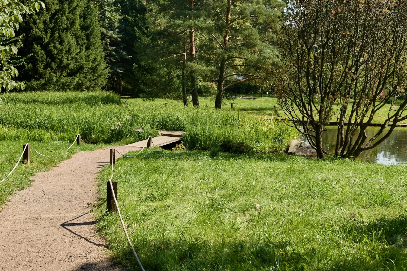 Tuinonderhoud