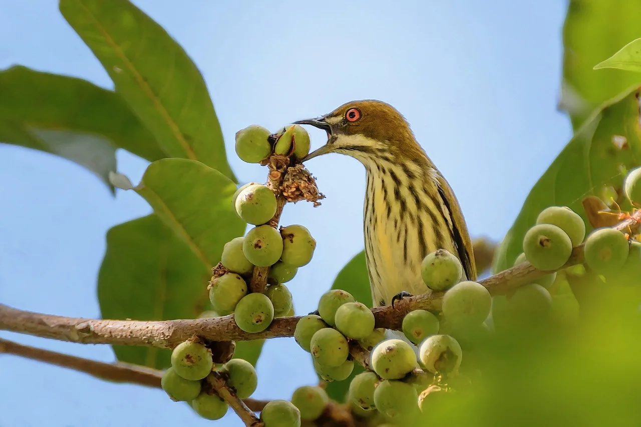 De verschillen tussen interieurontwerp en inrichting