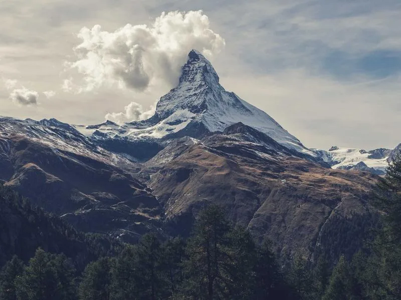 Zolen repareren