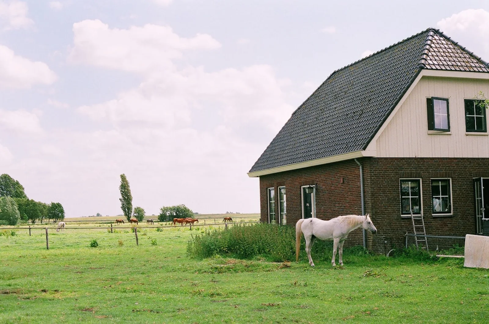 Steigerbouw