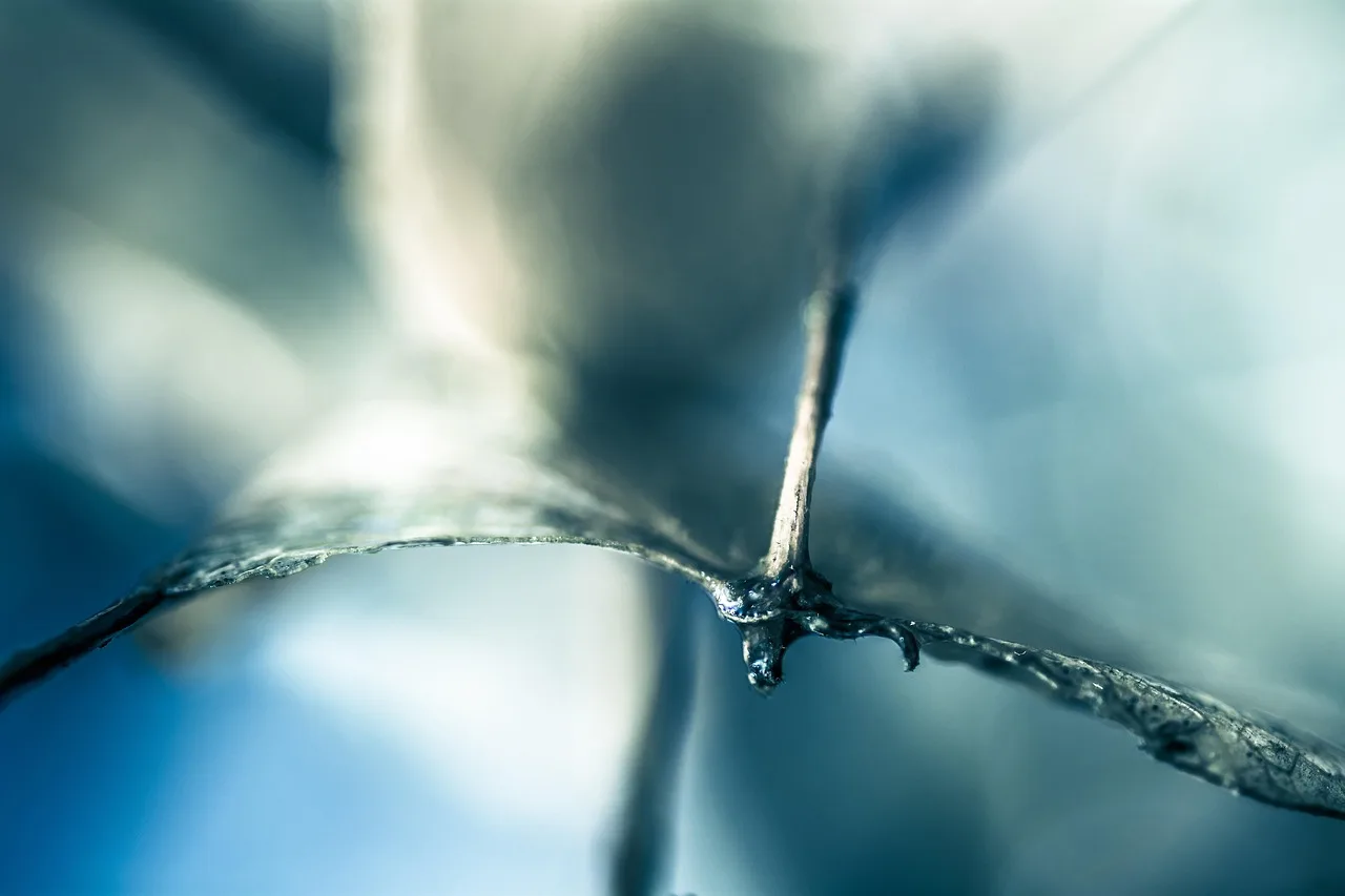 Lunch en Thee in Onze Theehuizen